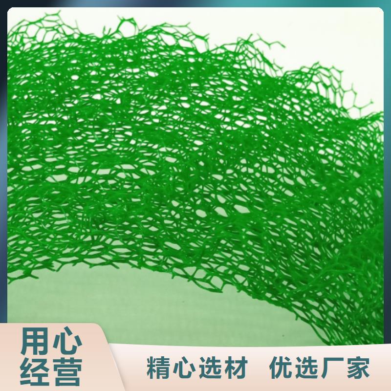 敢与同行比质量 三维植被网-【车库虹吸排水系统】大量现货附近公司