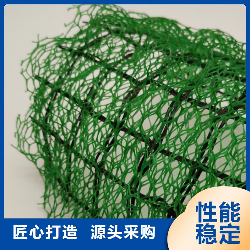 三维植被网-【防护虹吸排水收集系统】买的是放心