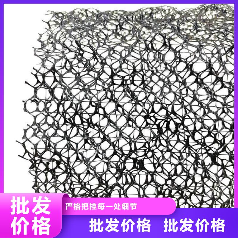 三维植被网植草格精工打造