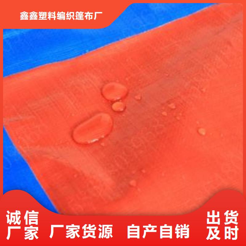 防雨布PE加厚篷布质量无忧