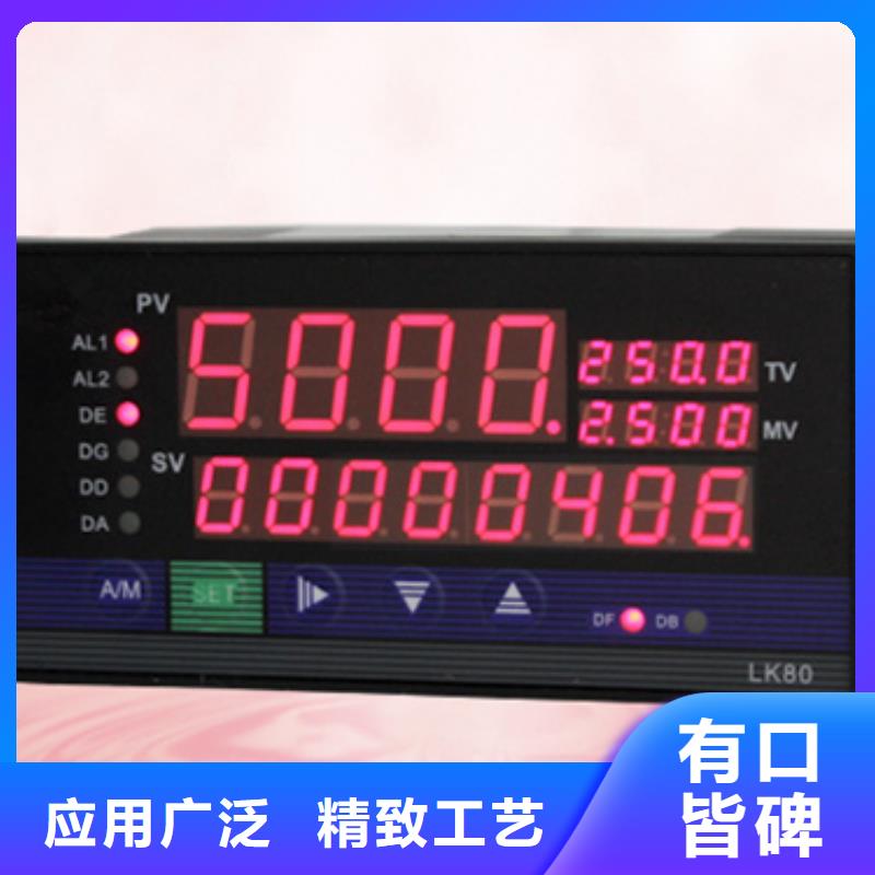 振动探头22810-00-04-50-02供货及时