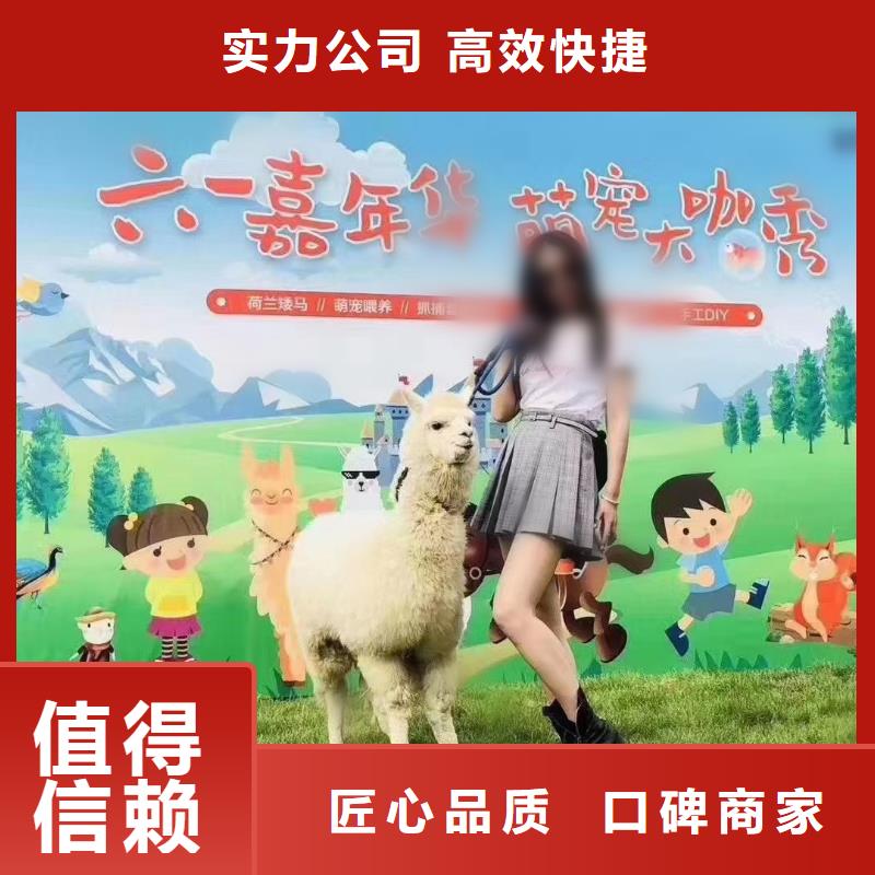 马戏团/羊驼美人鱼表演实力商家