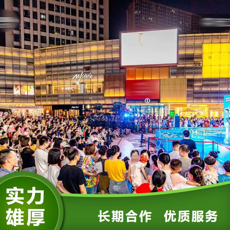 海洋主题动物表演_马戏表演2025专业的团队