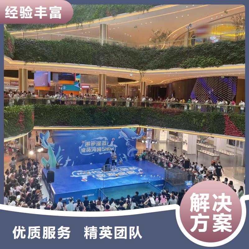 海洋主题动物表演,鹦鹉表演专业可靠