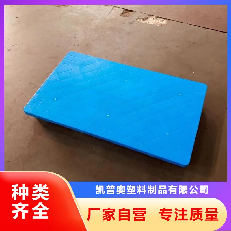 塑料托盘 塑料拍子专业生产制造厂