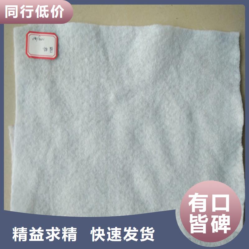 土工布_【土工格室】价格实在
