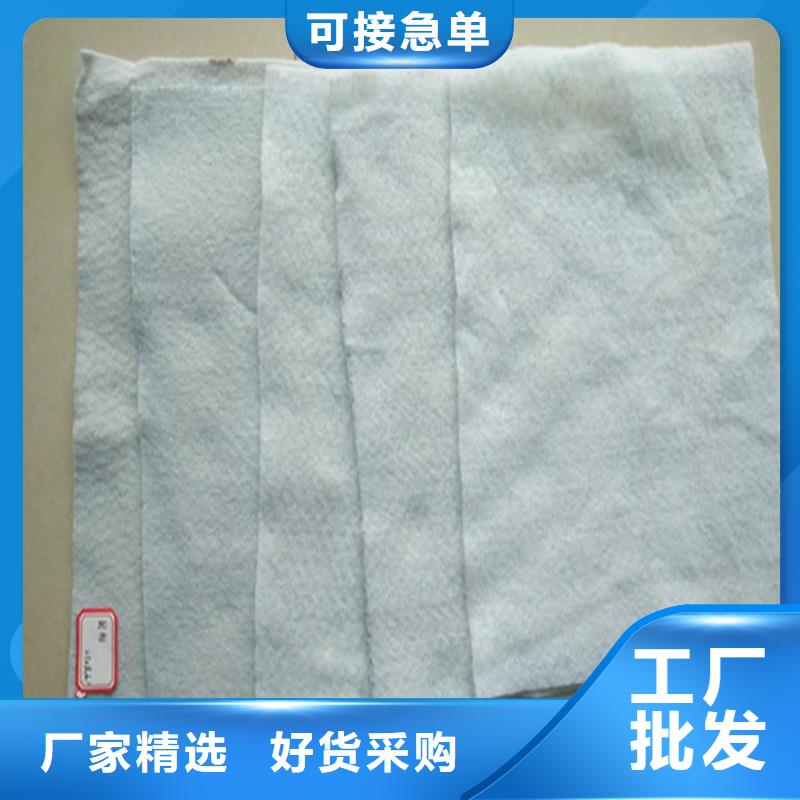 土工布_【土工格室】价格实在