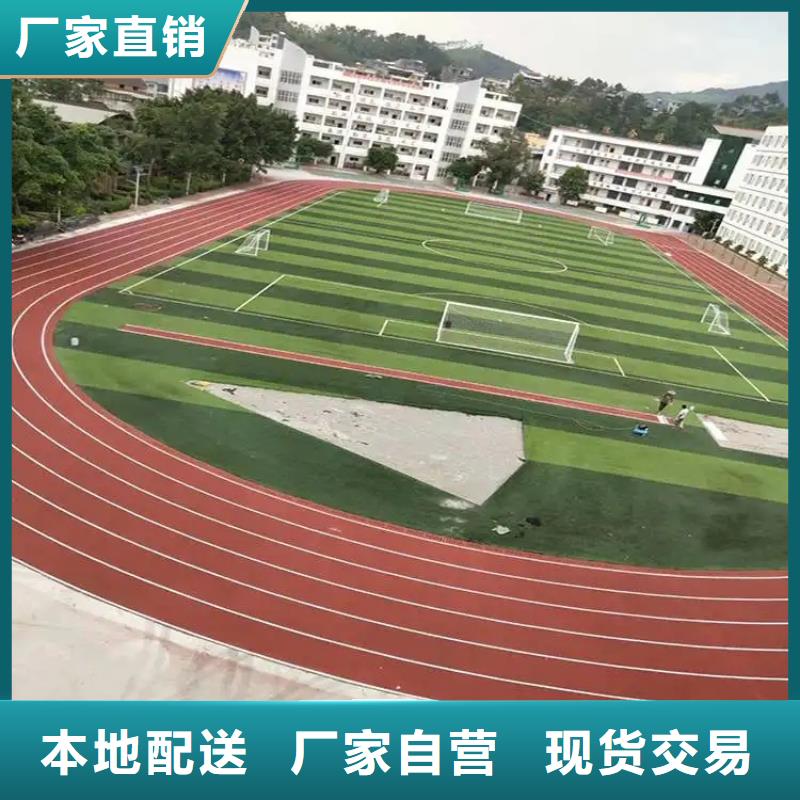 【环保型塑胶跑道运动场地施工支持加工定制】