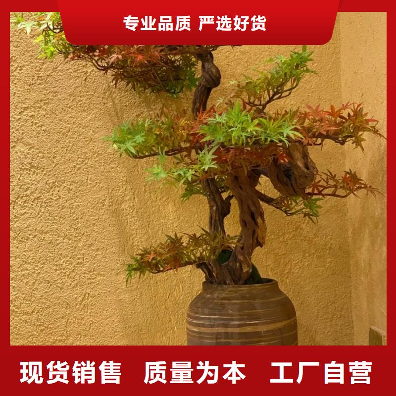 仿夯土漆多少钱#农家小院#乡村建设#民宿改造