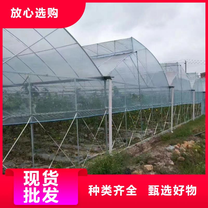 白沙县葡萄大棚钢管品质保障