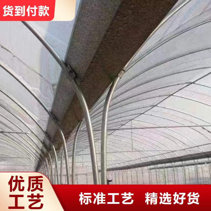 货源直供金荣圣【可接急单蔬菜大棚,玻璃温室大棚支持非标定制】- 本地 供应商