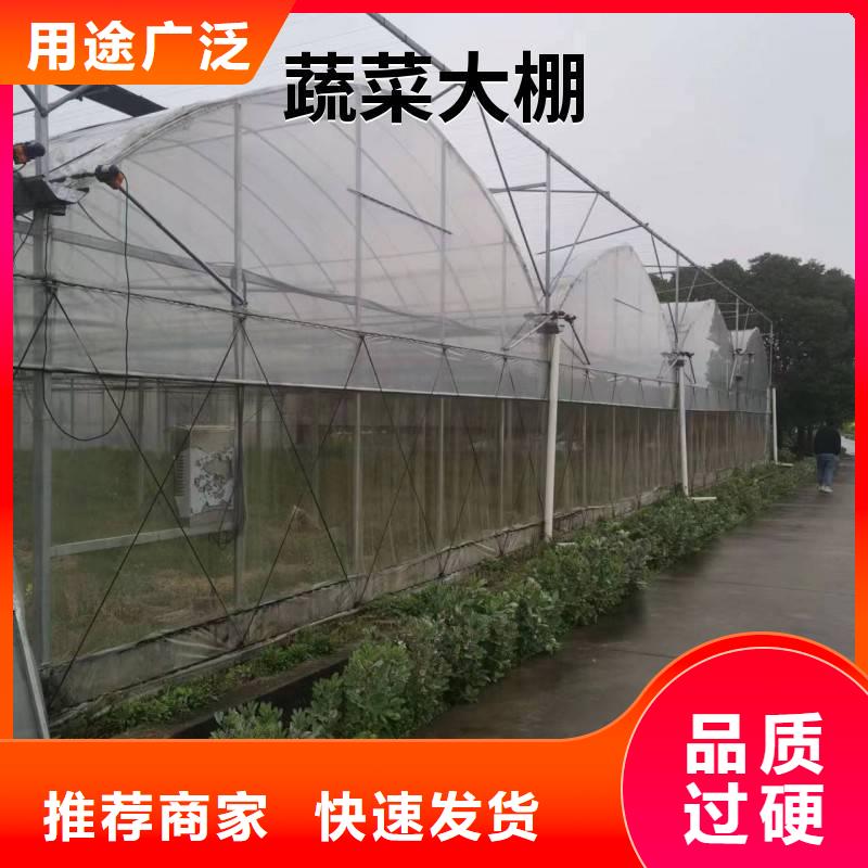 广东省佛山市南庄镇蓝莓杨梅水果大棚质量优