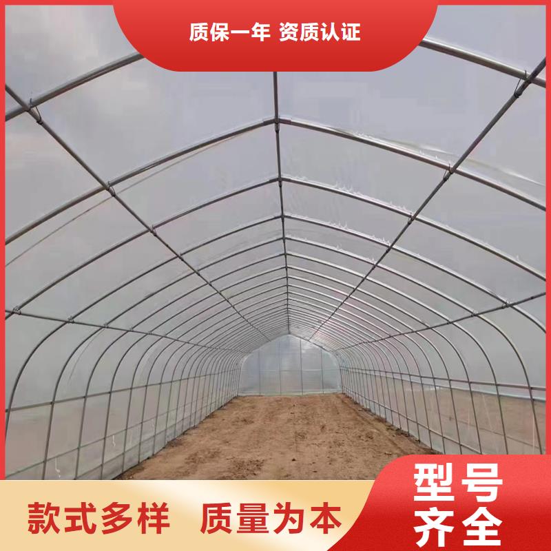 广东省佛山市南庄镇蓝莓杨梅水果大棚质量优