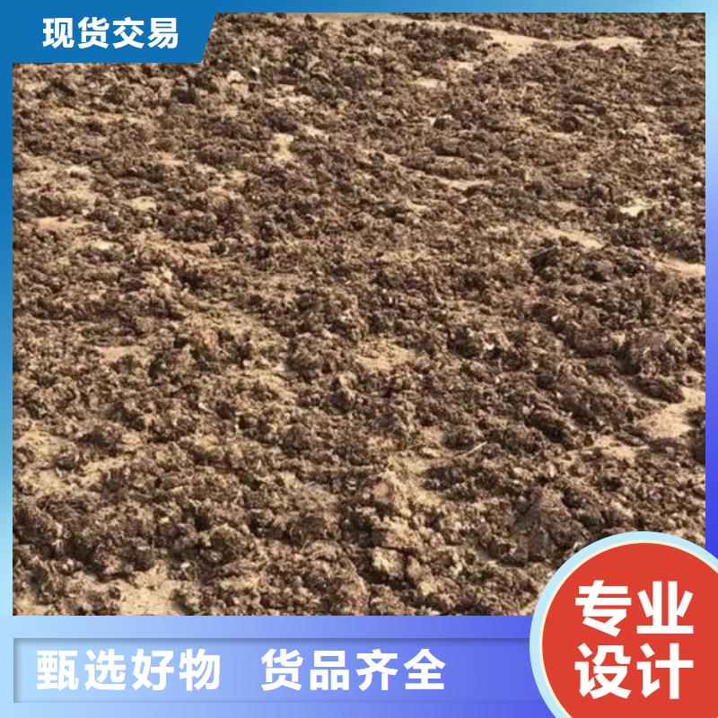 发酵纯鸡粪肥田沃土