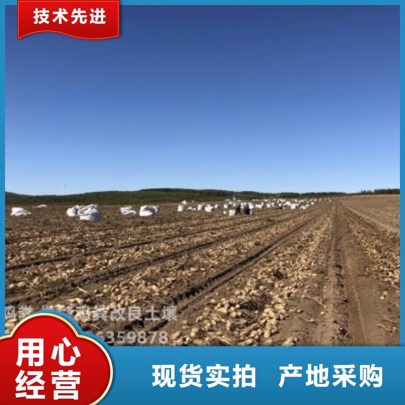 羊粪有机肥改良土壤