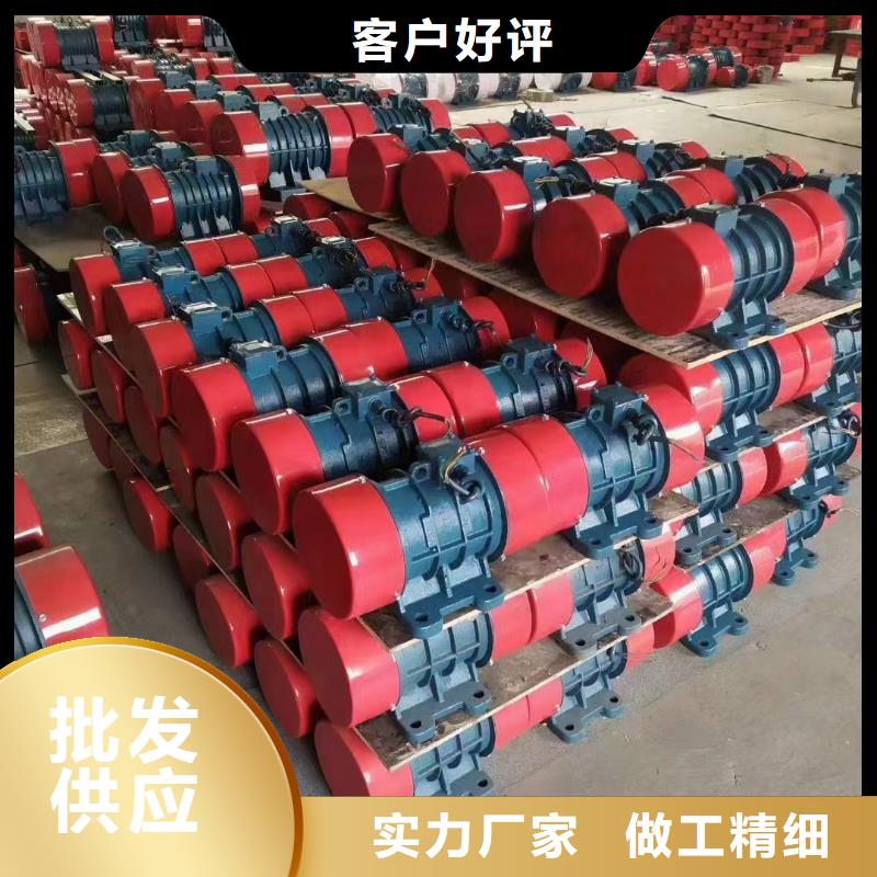 振动电机平板振动器厂家厂家定制