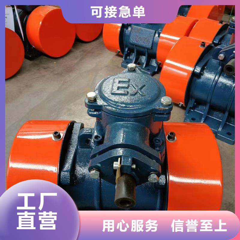 防爆振动电机-仓壁振动器用的放心