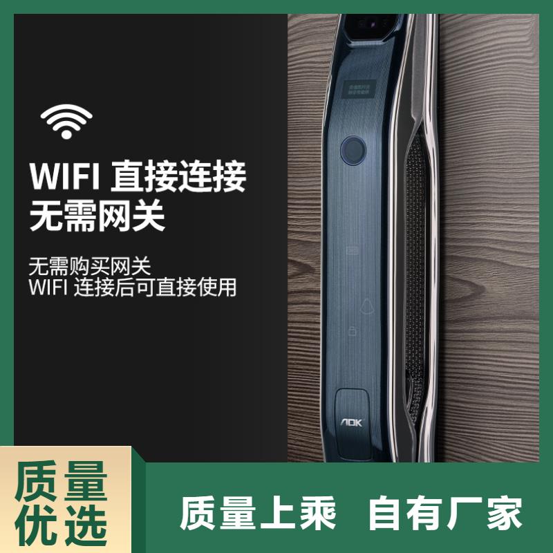 智能锁,销售智能电子锁专业生产厂家