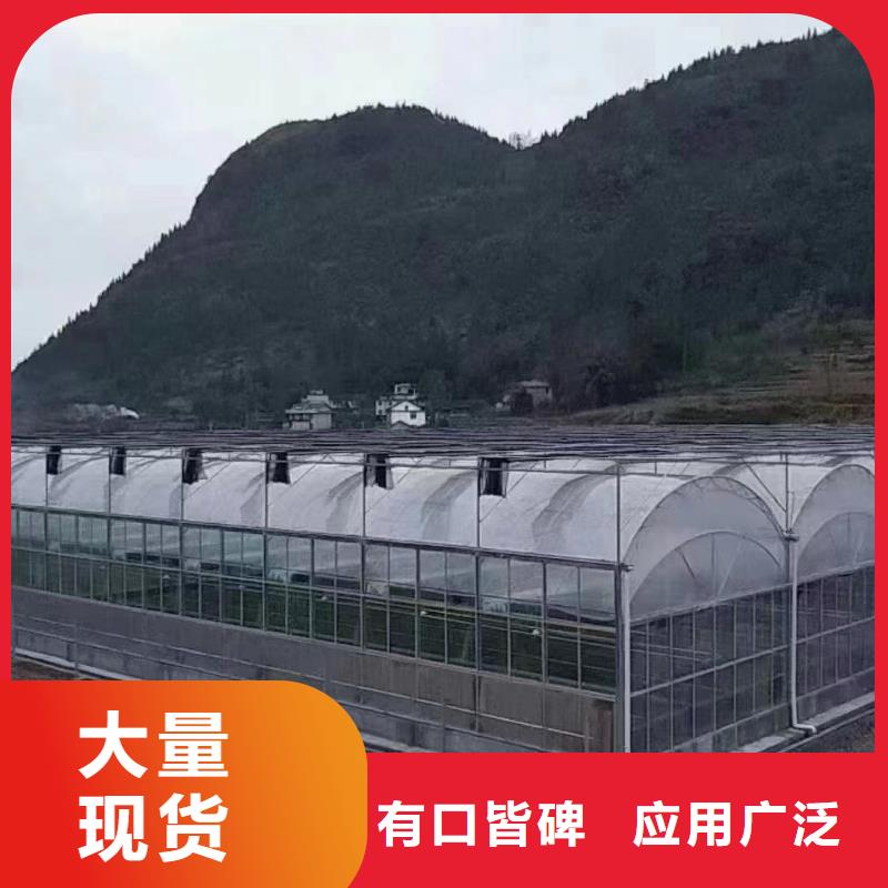 温室大棚光伏支架立柱品质服务诚信为本
