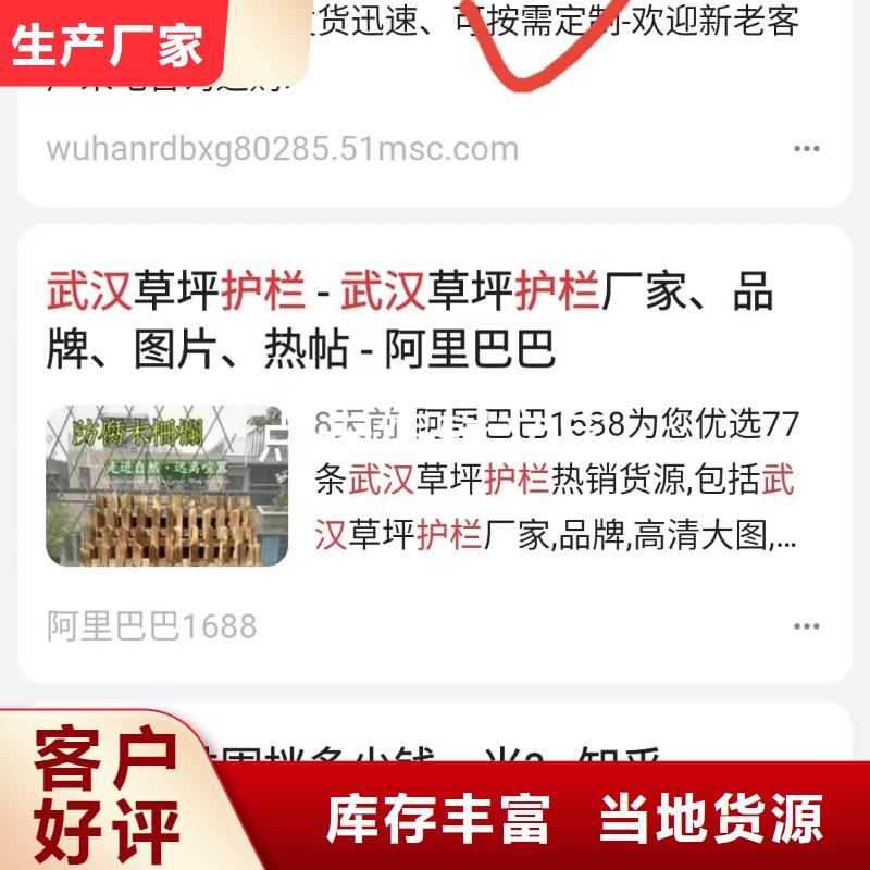 软件网站制作开发实力运营团队