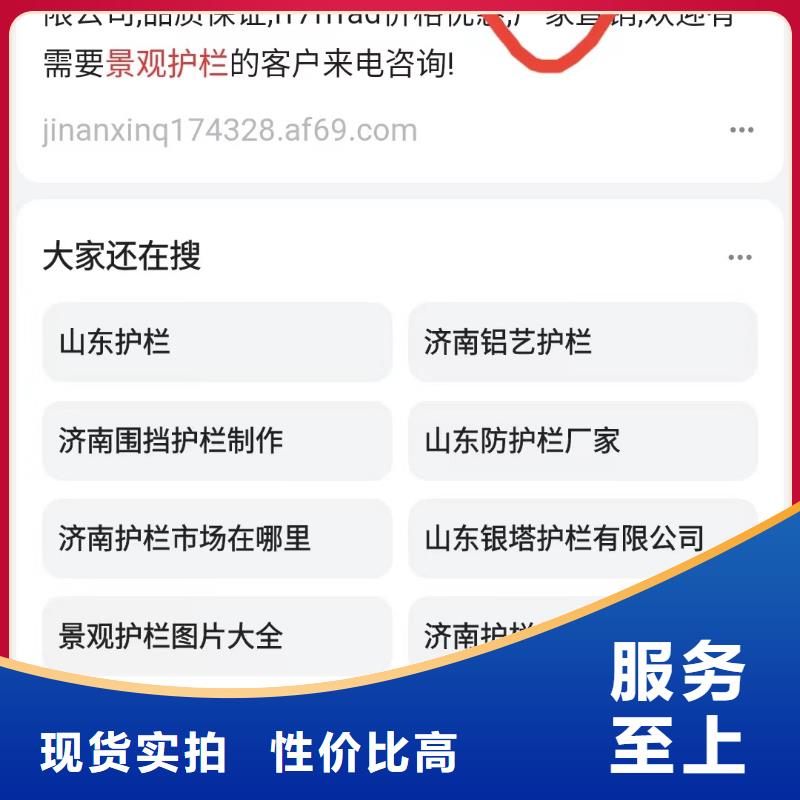 软件网站制作开发实力运营团队