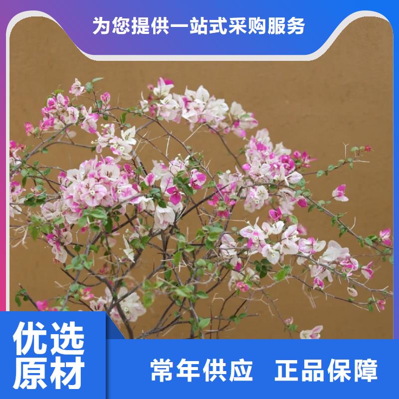 稻壳漆一平方多少钱