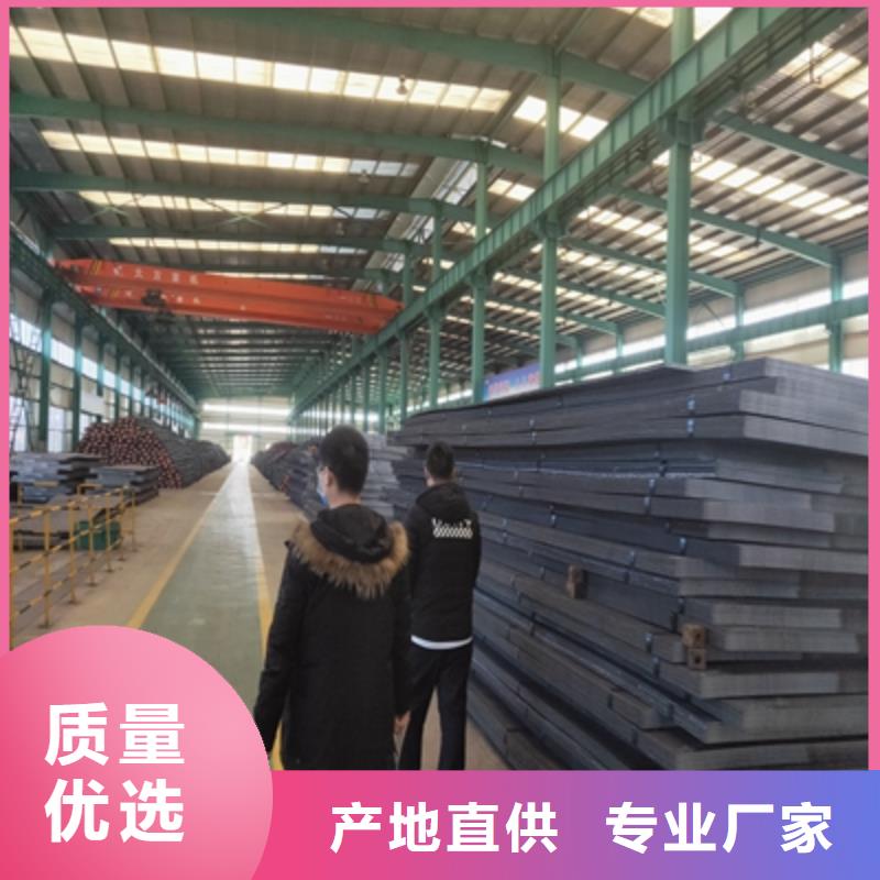 周边鑫弘扬卖BS750L高强钢板的厂家