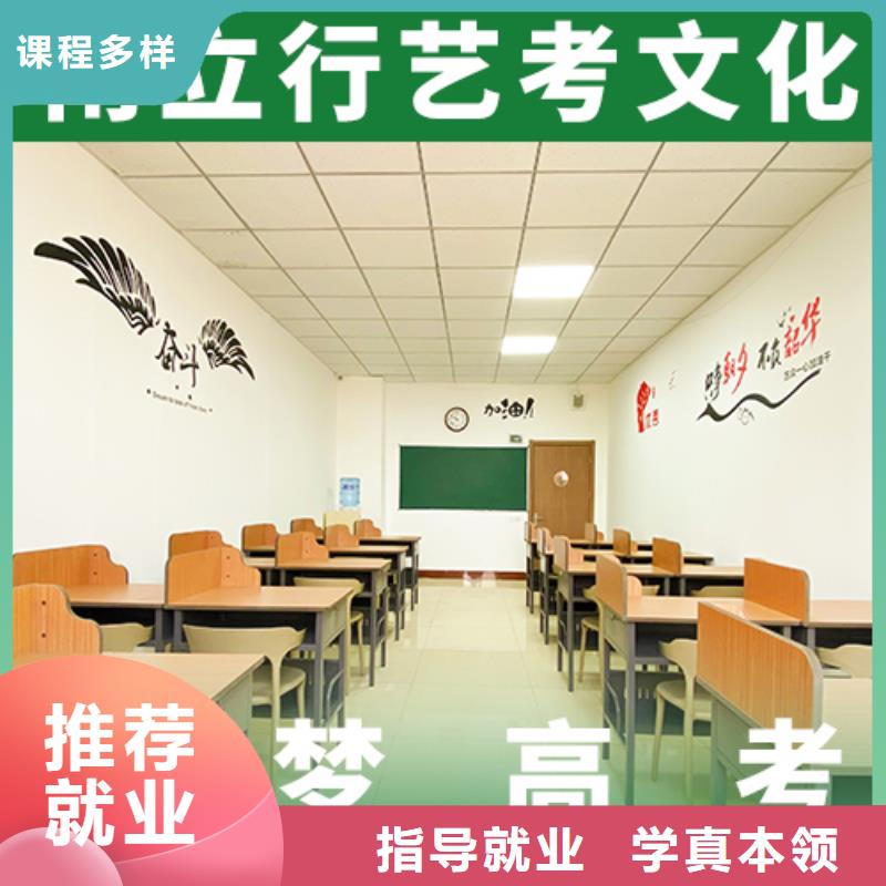 艺考文化课高考冲刺班理论+实操