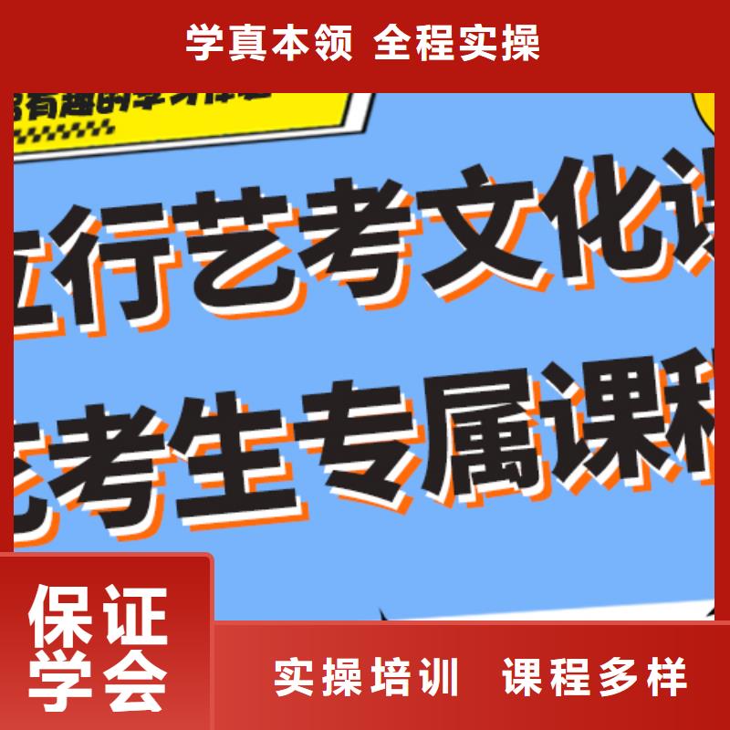 2024级艺考生文化课补习机构考试多不多