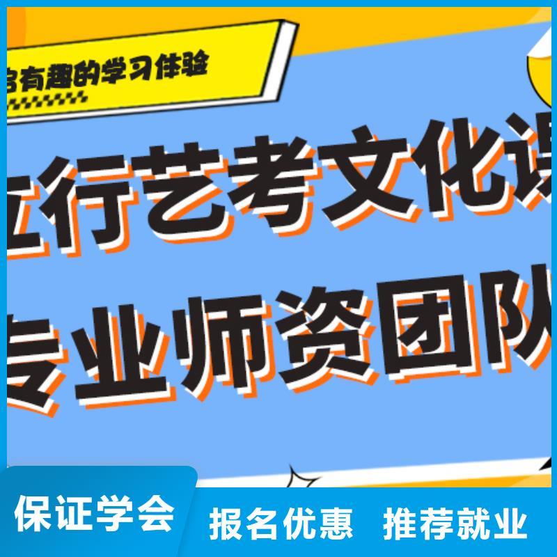 艺考生文化课培训补习哪个好针对性教学