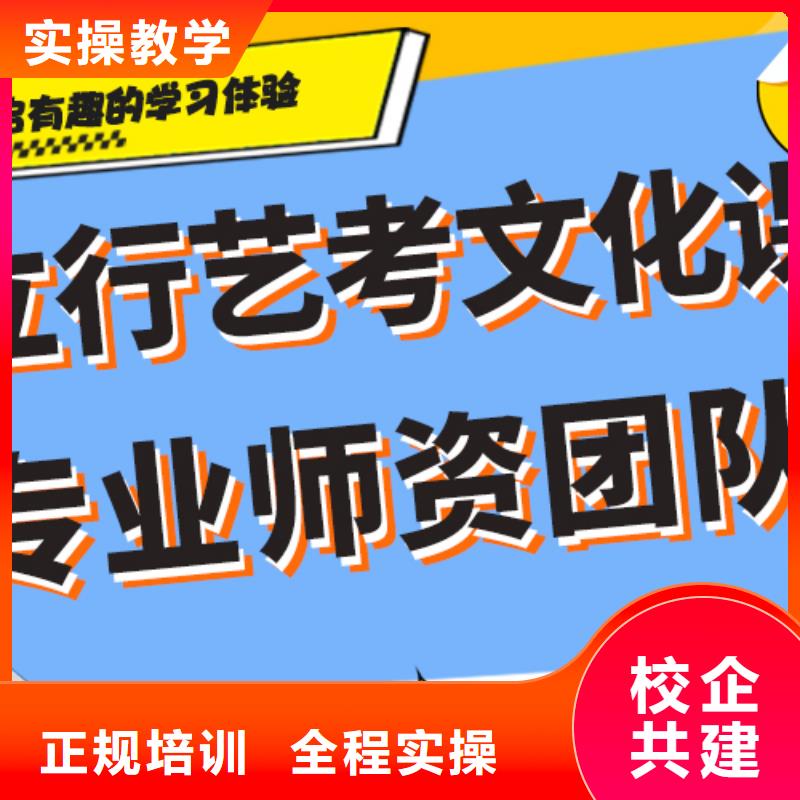 哪家好艺术生文化课集训冲刺定制专属课程