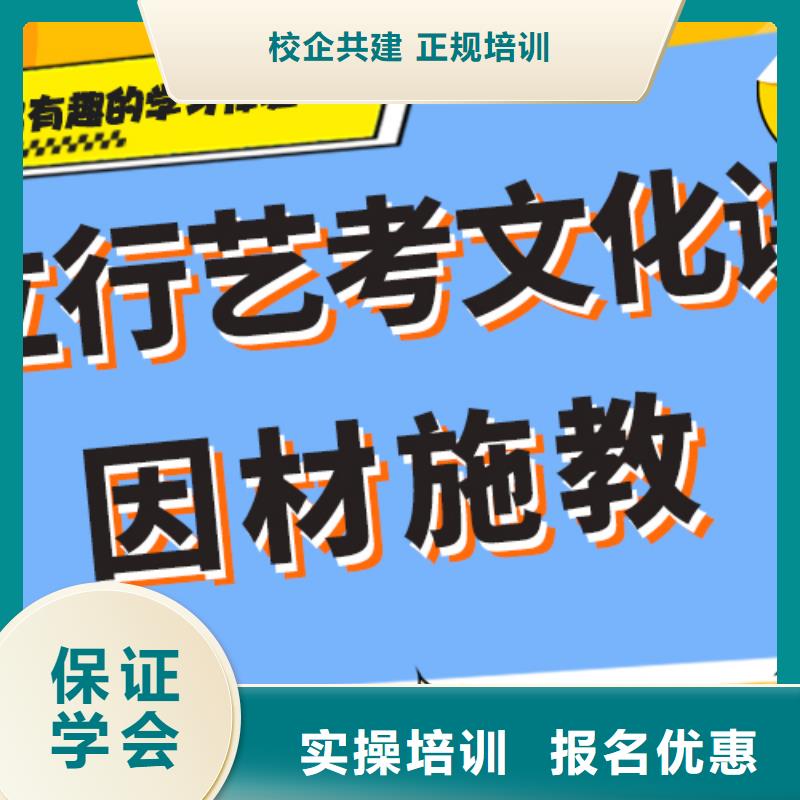 艺术生文化课培训补习有哪些定制专属课程