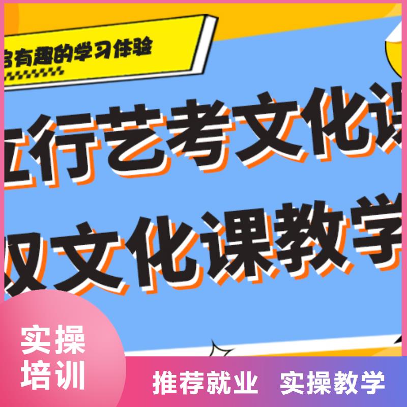 艺考生文化课培训机构排行榜艺考生文化课专用教材