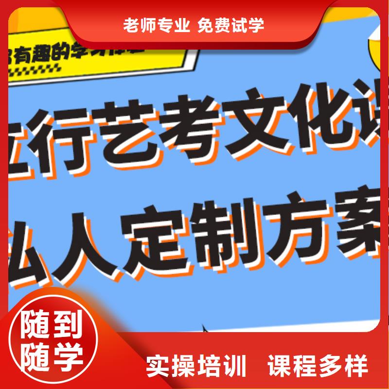 艺术生文化课培训补习有哪些定制专属课程