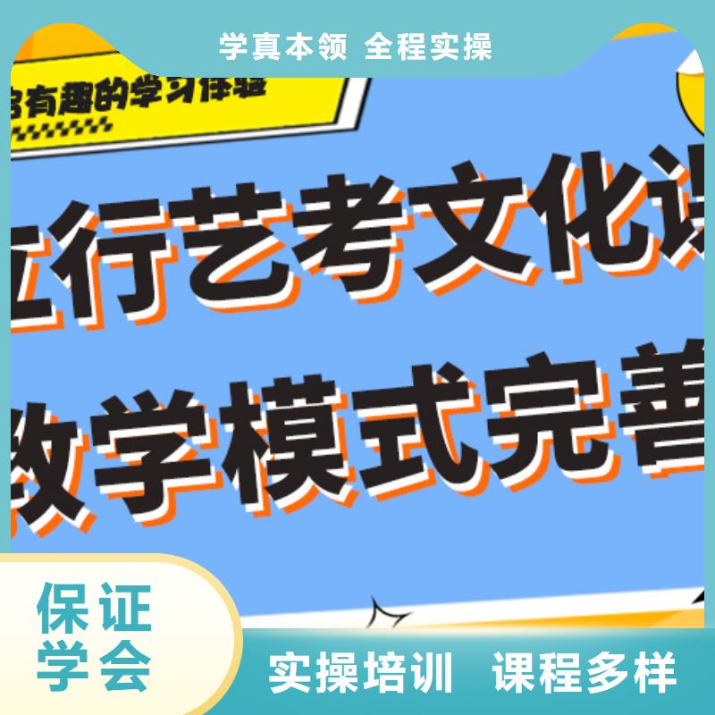 艺术生文化课集训冲刺哪个好针对性教学