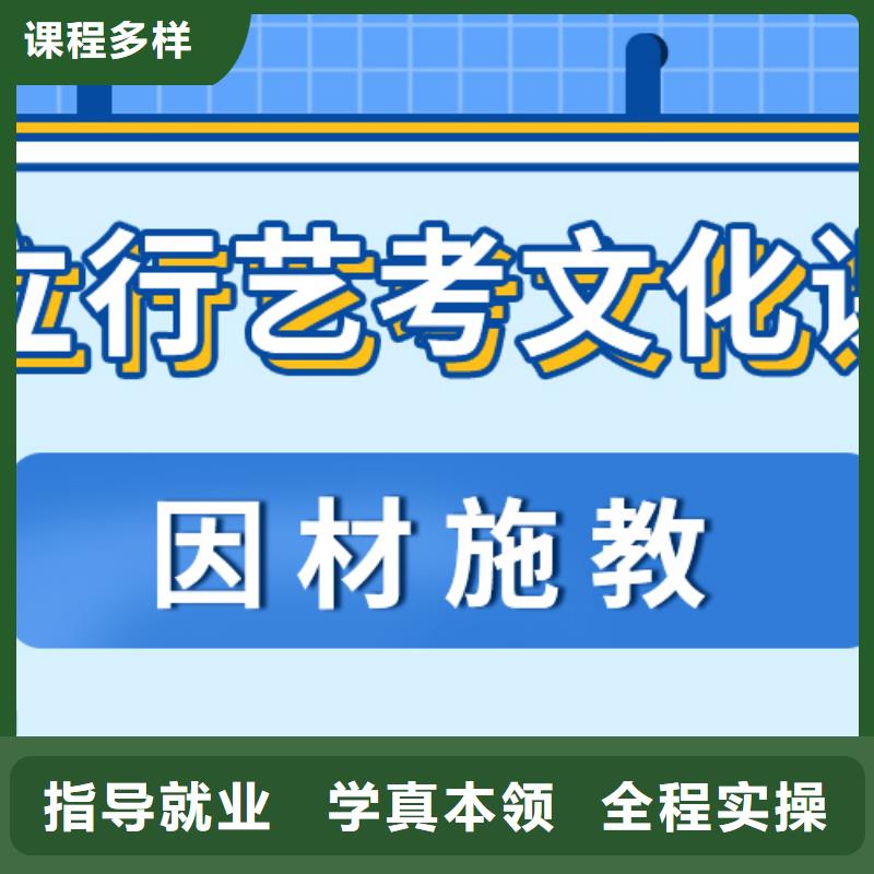 艺考生文化课补习机构哪个好艺考生文化课专用教材