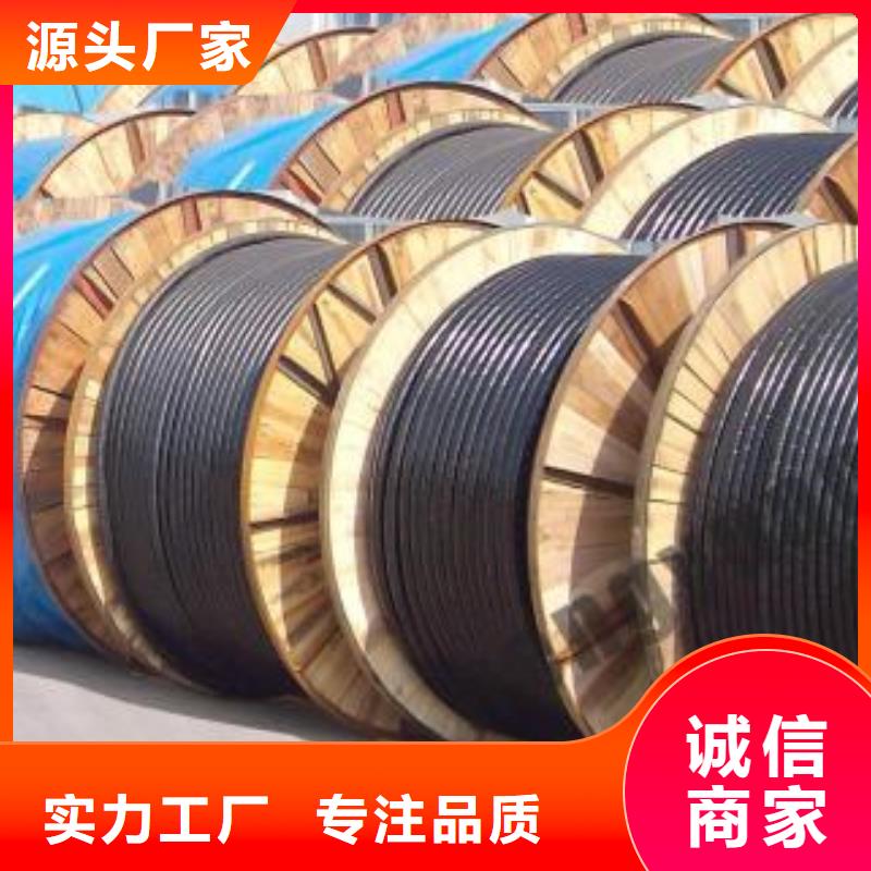 电线电缆DJYVP电缆拒绝伪劣产品