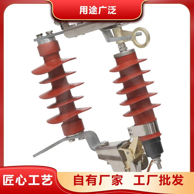 HY1.5W-4.8/12电机型避雷器