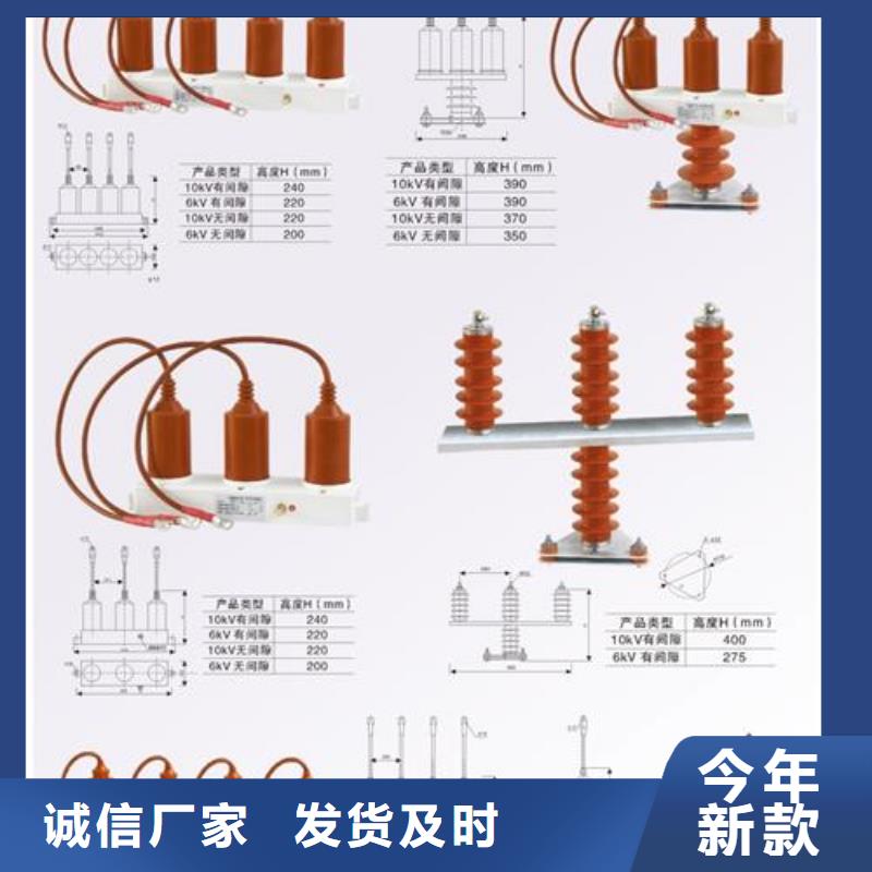 【樊高】货源直销 过电压保护器-【绝缘子】闪电发货-樊高电气有限公司销售部