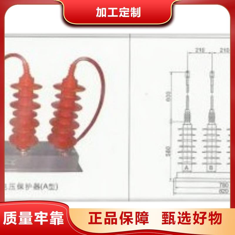 【樊高】货源直销 过电压保护器-【绝缘子】闪电发货-樊高电气有限公司销售部