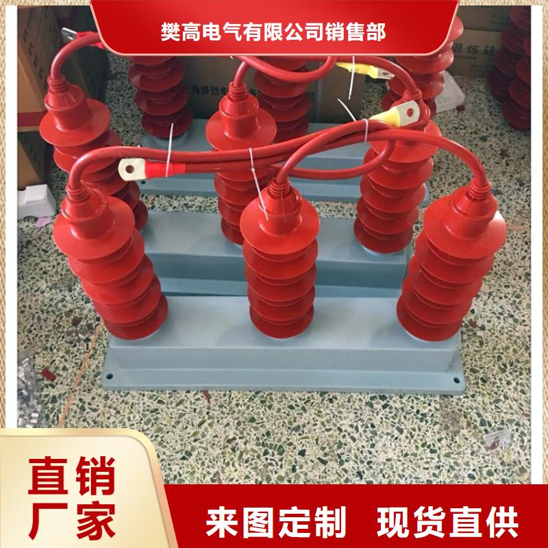 【樊高】货源直销 过电压保护器-【绝缘子】闪电发货-樊高电气有限公司销售部