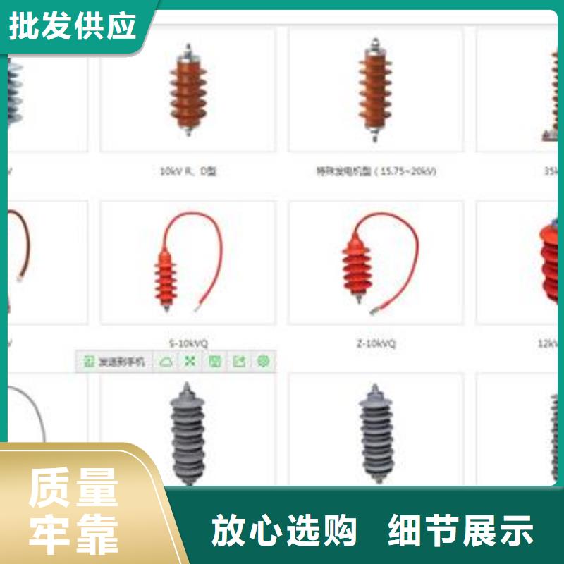 【樊高】货源直销 过电压保护器-【绝缘子】闪电发货-樊高电气有限公司销售部