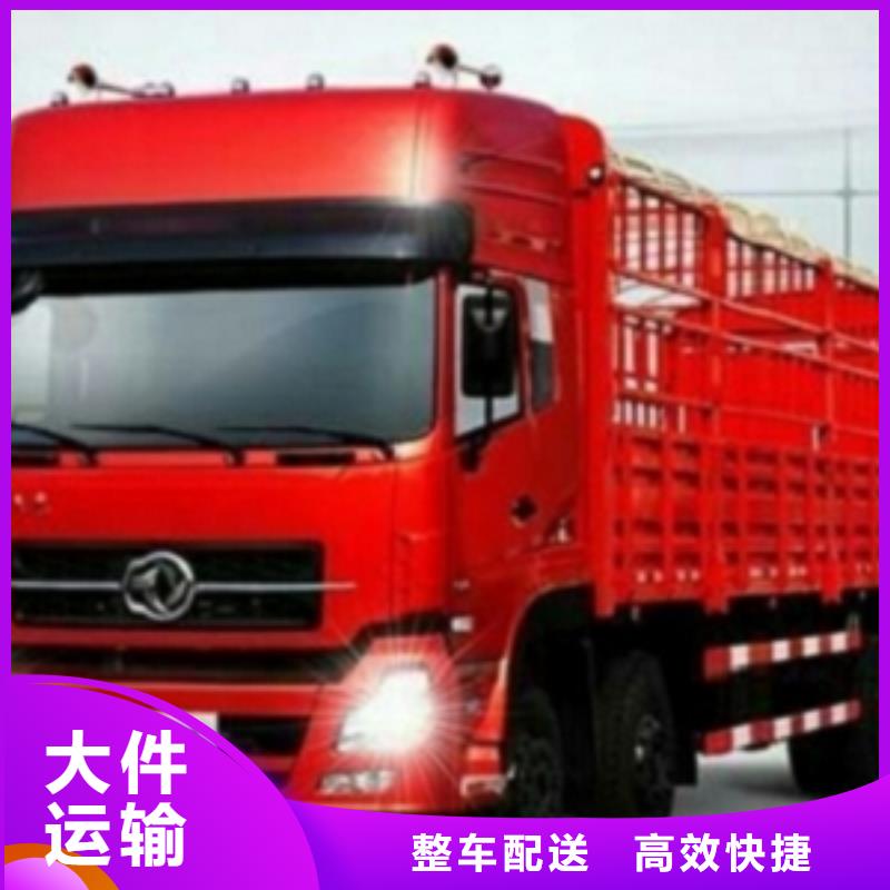 宠物托运 1按时到达|本地经销商
