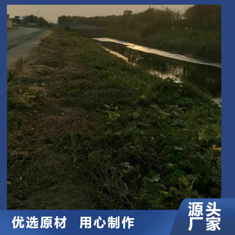 污泥处理土壤固化剂精选货源