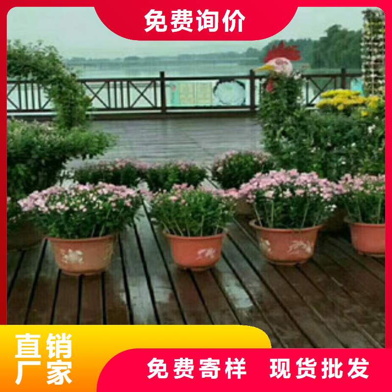 【时令草花】水生植物/荷花睡莲实力厂商