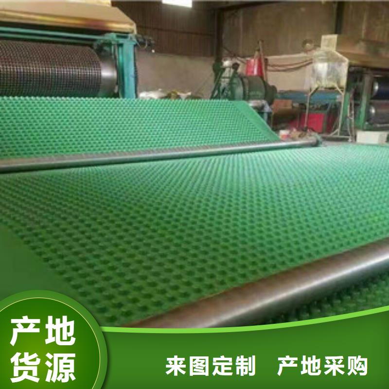 拒绝伪劣产品【塑料排水板】 植草格厂家多年经验值得信赖-{富泰}