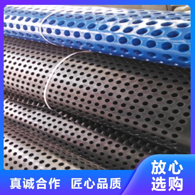 塑料排水板土工膜厂家满足客户所需