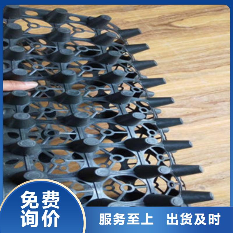 蓄排水板土工布厂家厂家直销直供