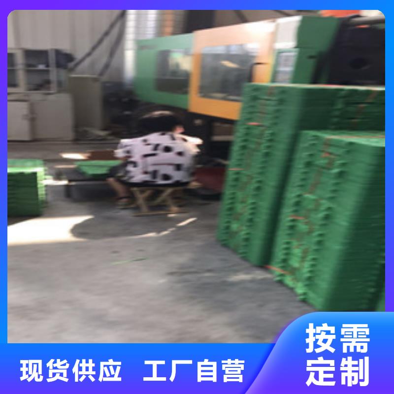 质检严格放心品质【蓄排水板】 土工布厂家颜色尺寸款式定制-(附近)生产厂家