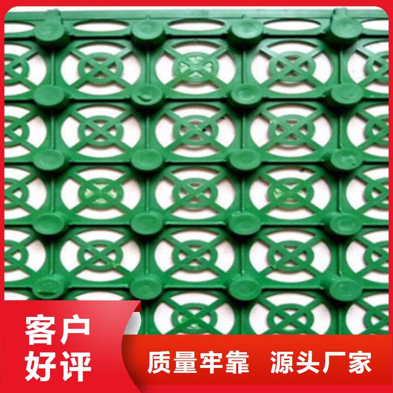 蓄排水板,无纺布厂家厂家技术完善